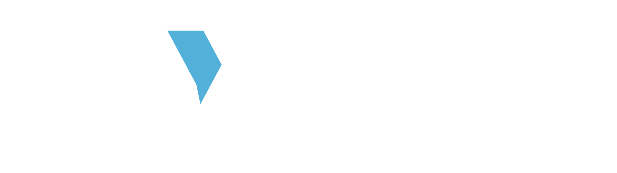 Women's Foundation of Indiana